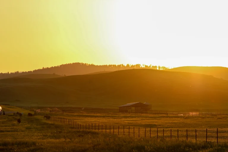 Sunset over rolling hills with silhouetted trees, a barn, livestock, and fenced pasture.